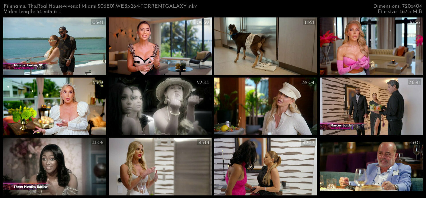 The Real Housewives of Miami S06E01 WEB x264 TORRENTGALAXY