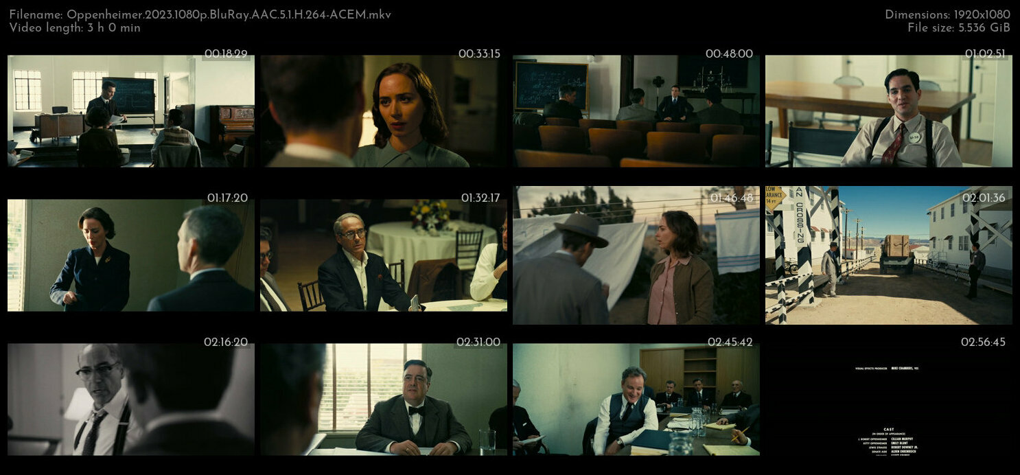 Oppenheimer 2023 1080p BluRay AAC 5 1 H 264 ACEM TGx