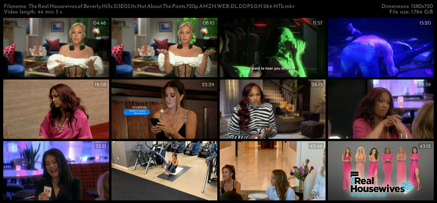 The Real Housewives of Beverly Hills S13E03 Its Not About The Pants 720p AMZN WEB DL DDP2 0 H 264 NT