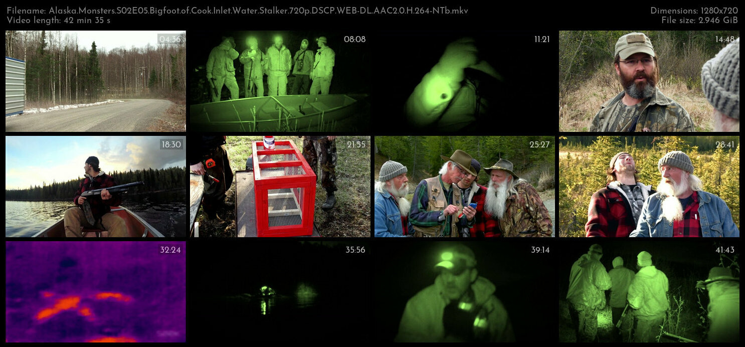 Alaska Monsters S02E05 Bigfoot of Cook Inlet Water Stalker 720p DSCP WEB DL AAC2 0 H 264 NTb TGx