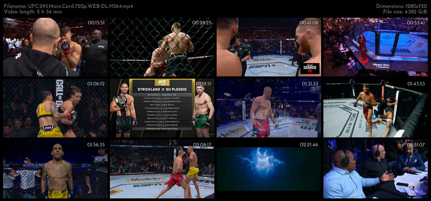 UFC 295 Main Card 720p WEB DL H264 TGx