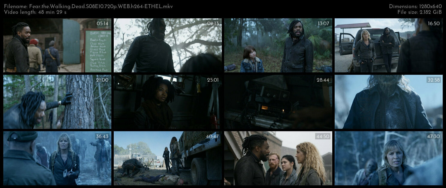 Fear the Walking Dead S08E10 720p WEB h264 ETHEL TGx