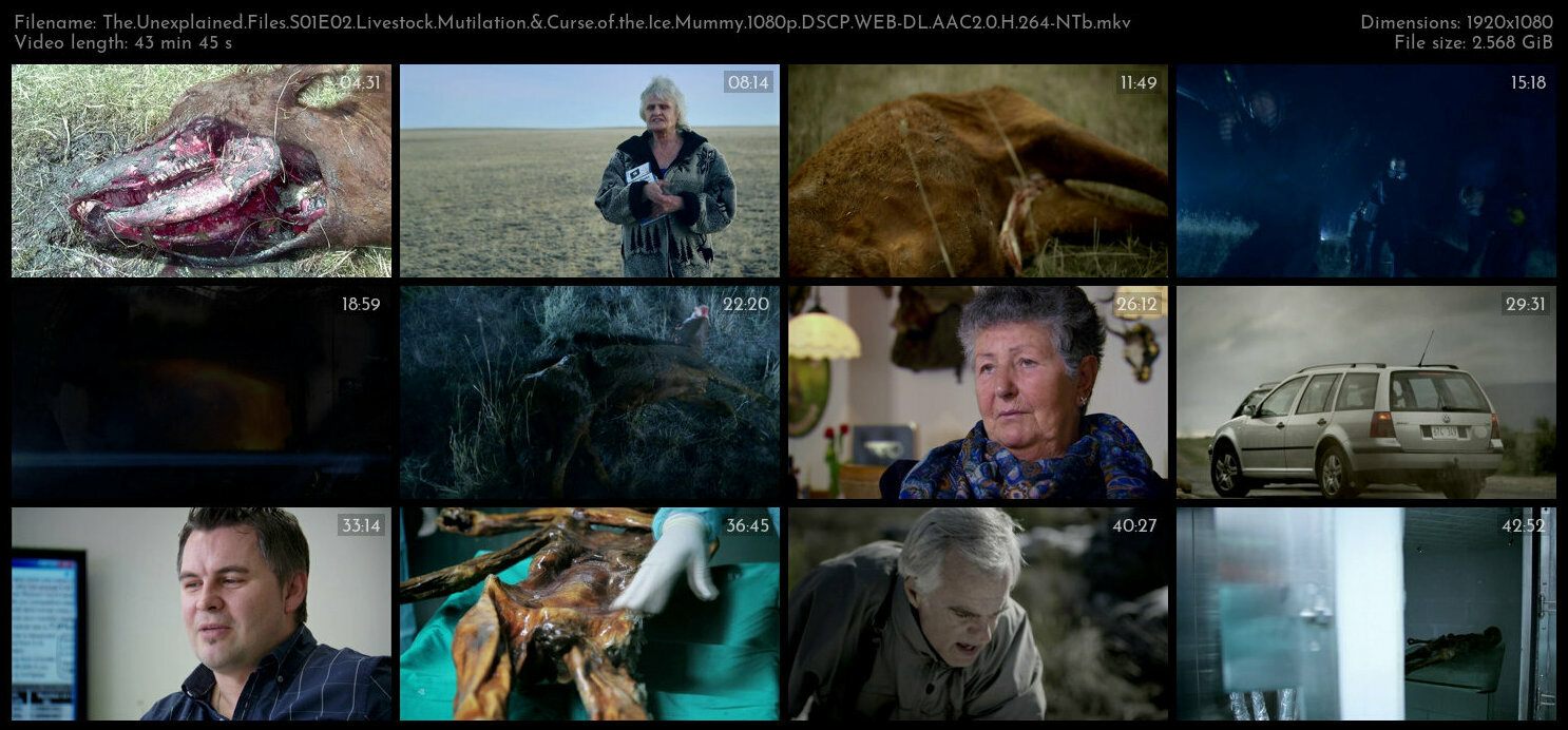 The Unexplained Files S01E02 Livestock Mutilation Curse of the Ice Mummy 1080p DSCP WEB DL AAC