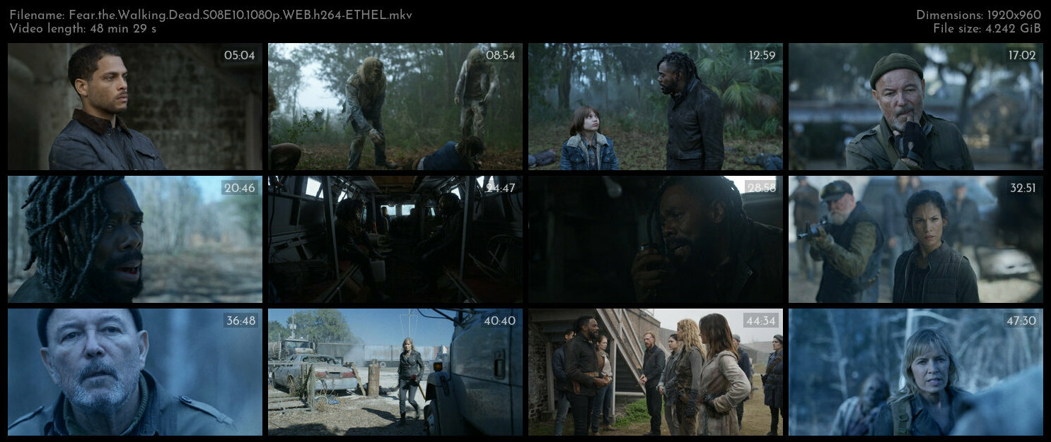 Fear the Walking Dead S08E10 1080p WEB h264 ETHEL TGx