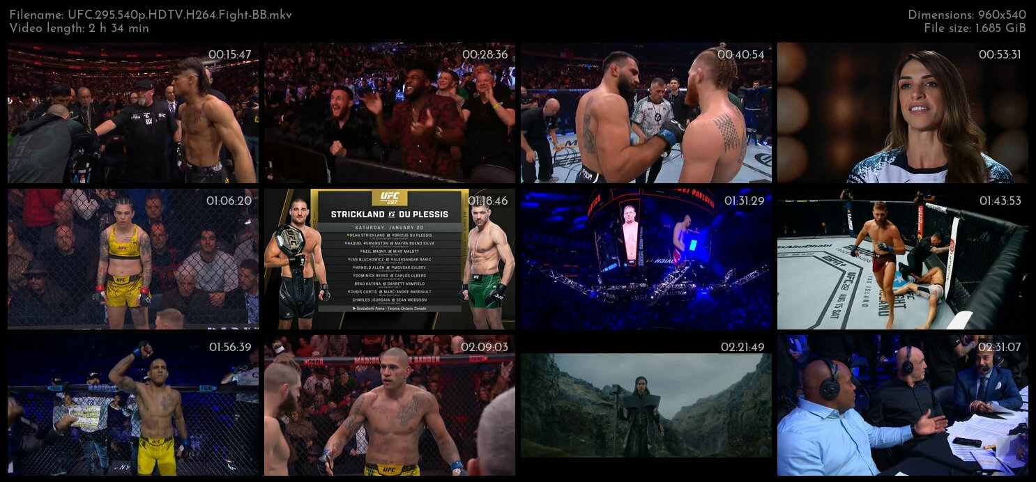 UFC 295 540p HDTV H264 Fight BB