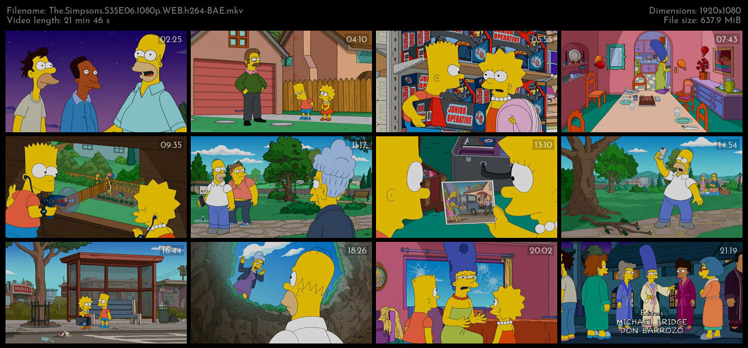 The Simpsons S35E06 1080p WEB h264 BAE TGx
