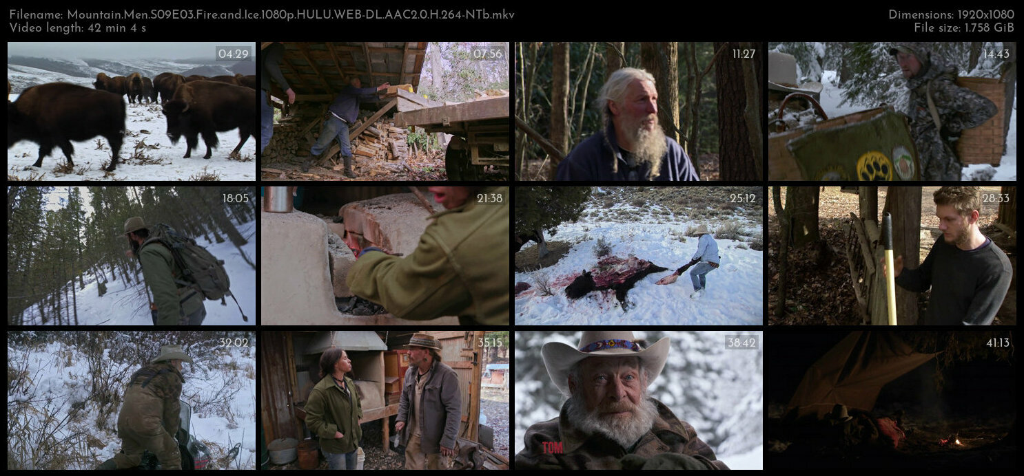 Mountain Men S09E03 Fire and Ice 1080p HULU WEB DL AAC2 0 H 264 NTb TGx