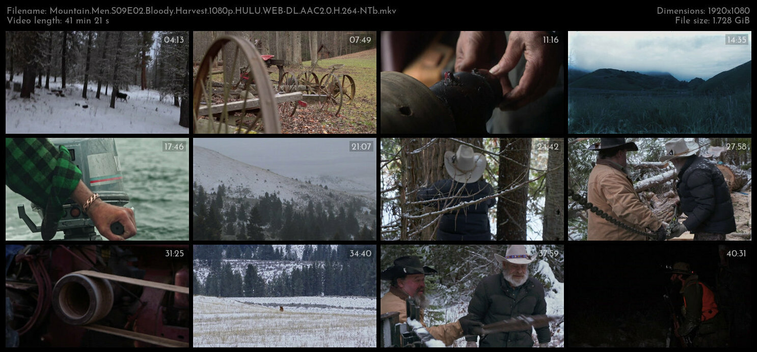 Mountain Men S09E02 Bloody Harvest 1080p HULU WEB DL AAC2 0 H 264 NTb TGx