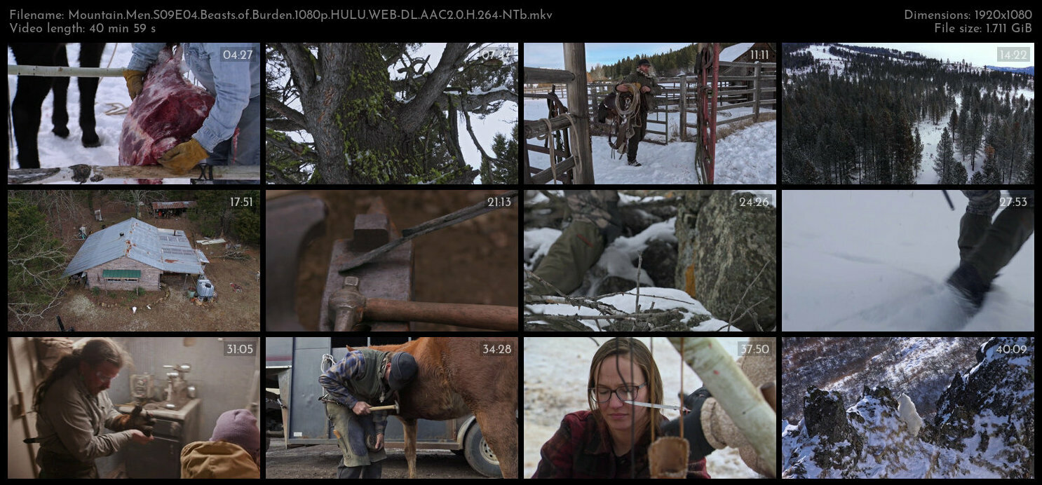 Mountain Men S09E04 Beasts of Burden 1080p HULU WEB DL AAC2 0 H 264 NTb TGx