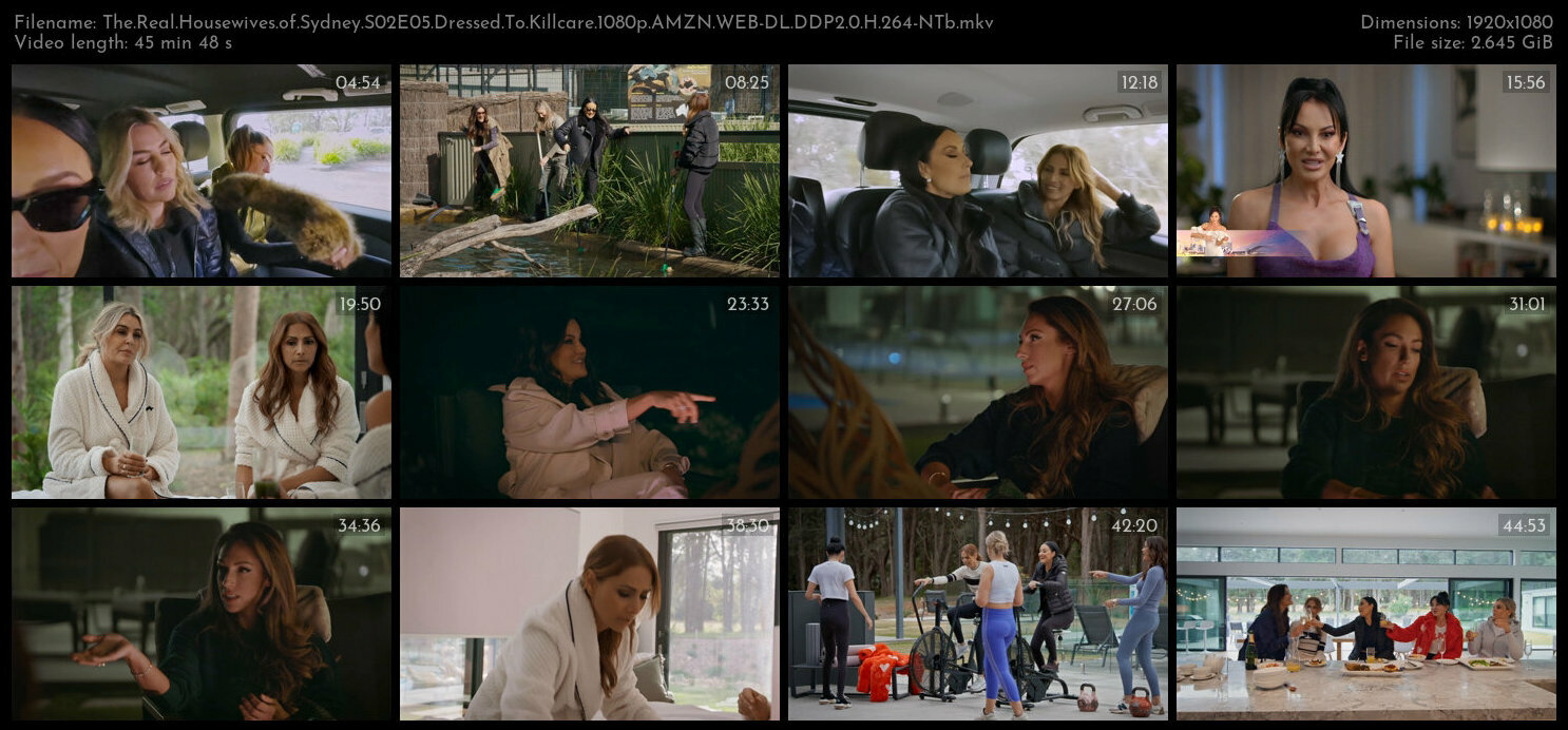 The Real Housewives of Sydney S02E05 Dressed To Killcare 1080p AMZN WEB DL DDP2 0 H 264 NTb TGx