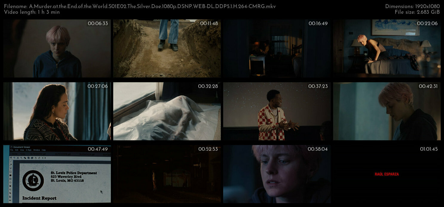 A Murder at the End of the World S01E02 The Silver Doe 1080p DSNP WEB DL DDP5 1 H 264 CMRG TGx