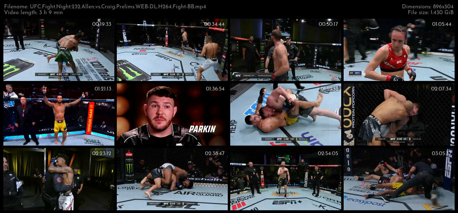 UFC Fight Night 232 Allen vs Craig Prelims WEB DL H264 Fight BB