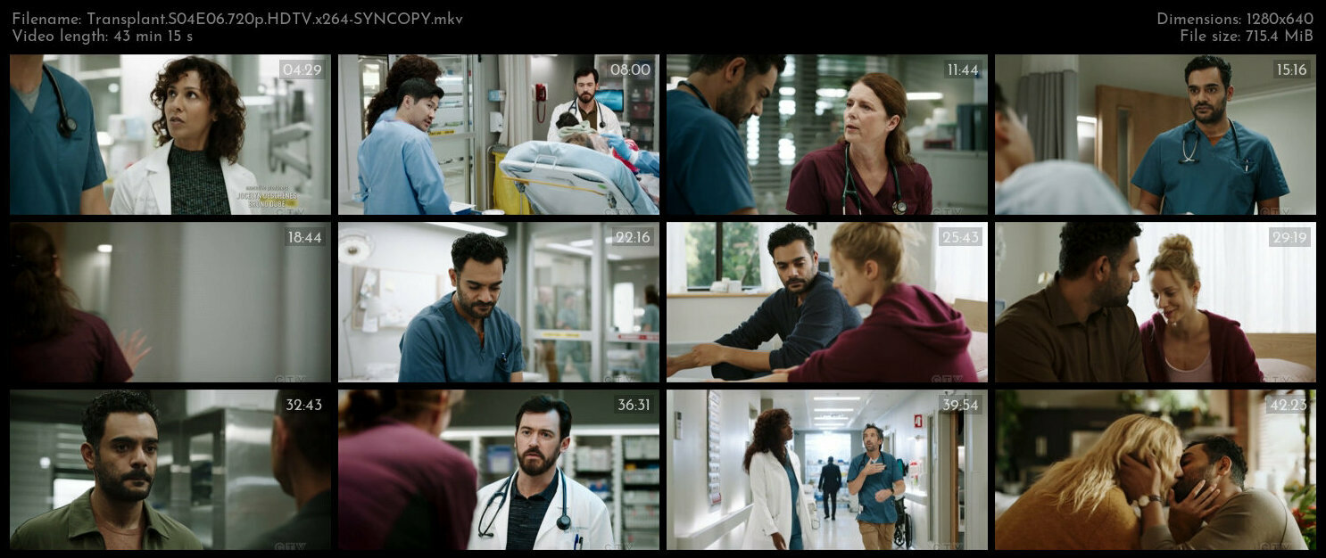 Transplant S04E06 720p HDTV x264 SYNCOPY TGx