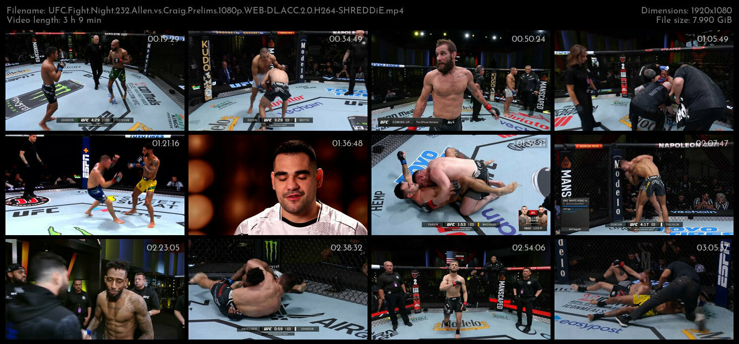 UFC Fight Night 232 Allen vs Craig Prelims 1080p WEB DL ACC 2 0 H264 SHREDDiE TGx