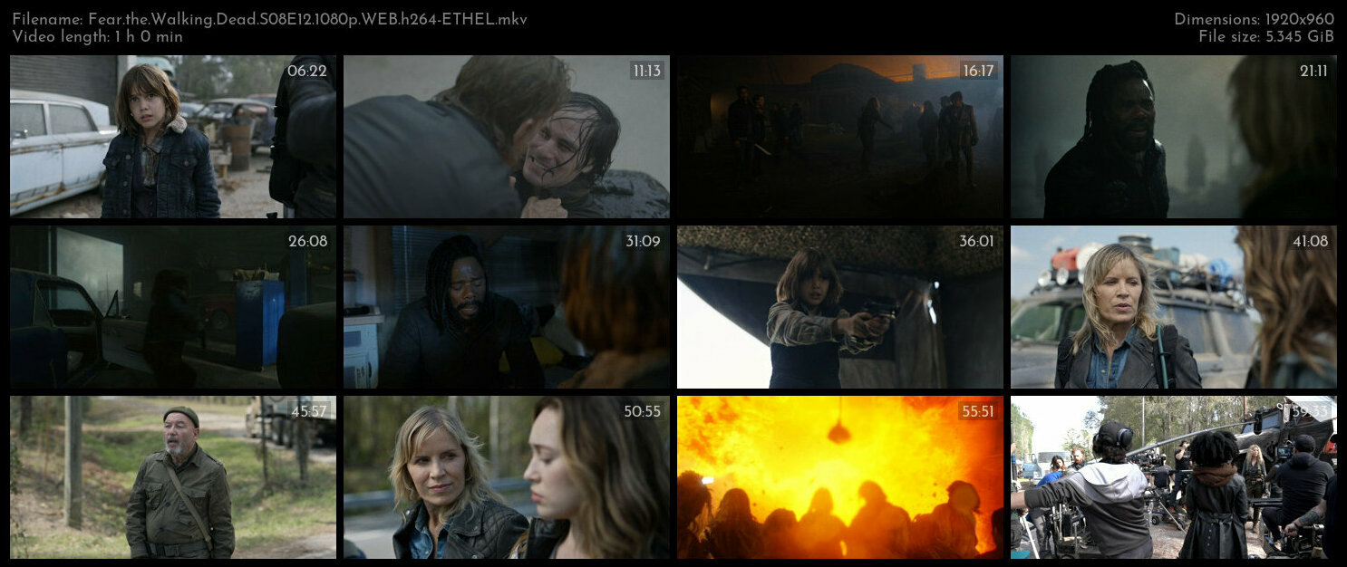 Fear the Walking Dead S08E12 1080p WEB h264 ETHEL TGx