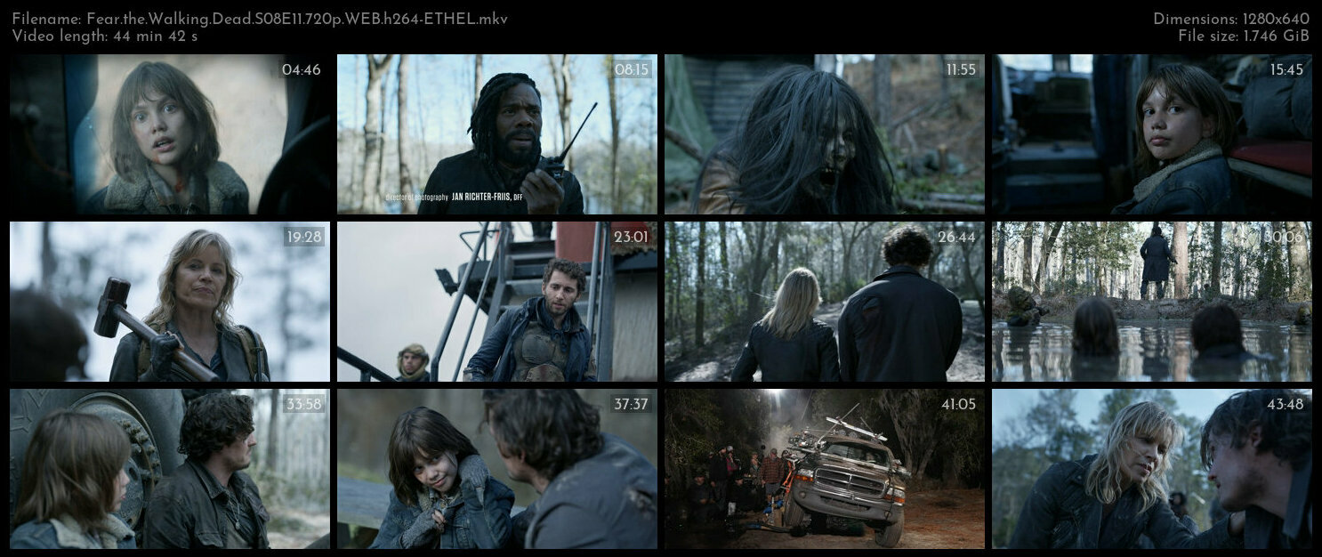 Fear the Walking Dead S08E11 720p WEB h264 ETHEL TGx