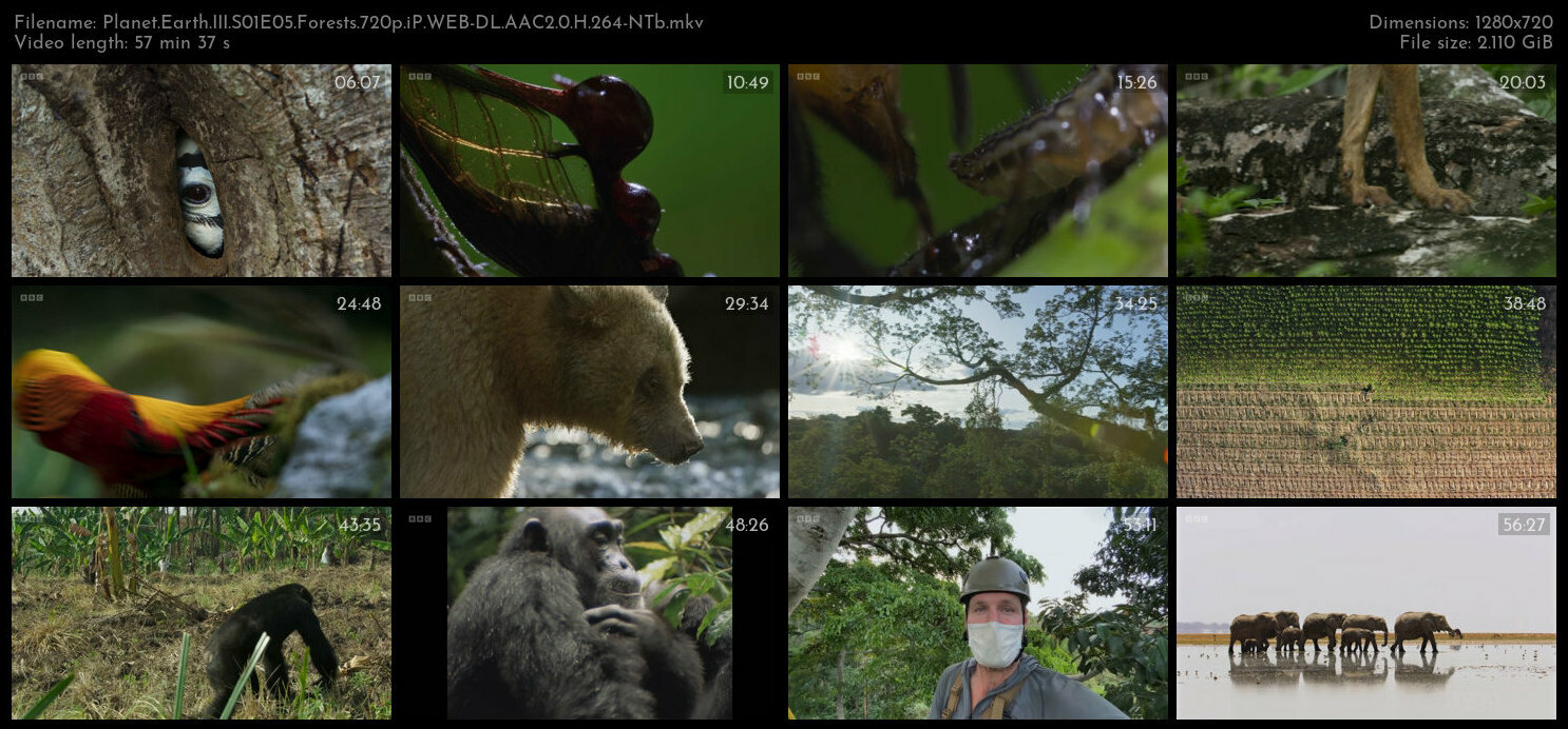 Planet Earth III S01E05 Forests 720p iP WEB DL AAC2 0 H 264 NTb TGx