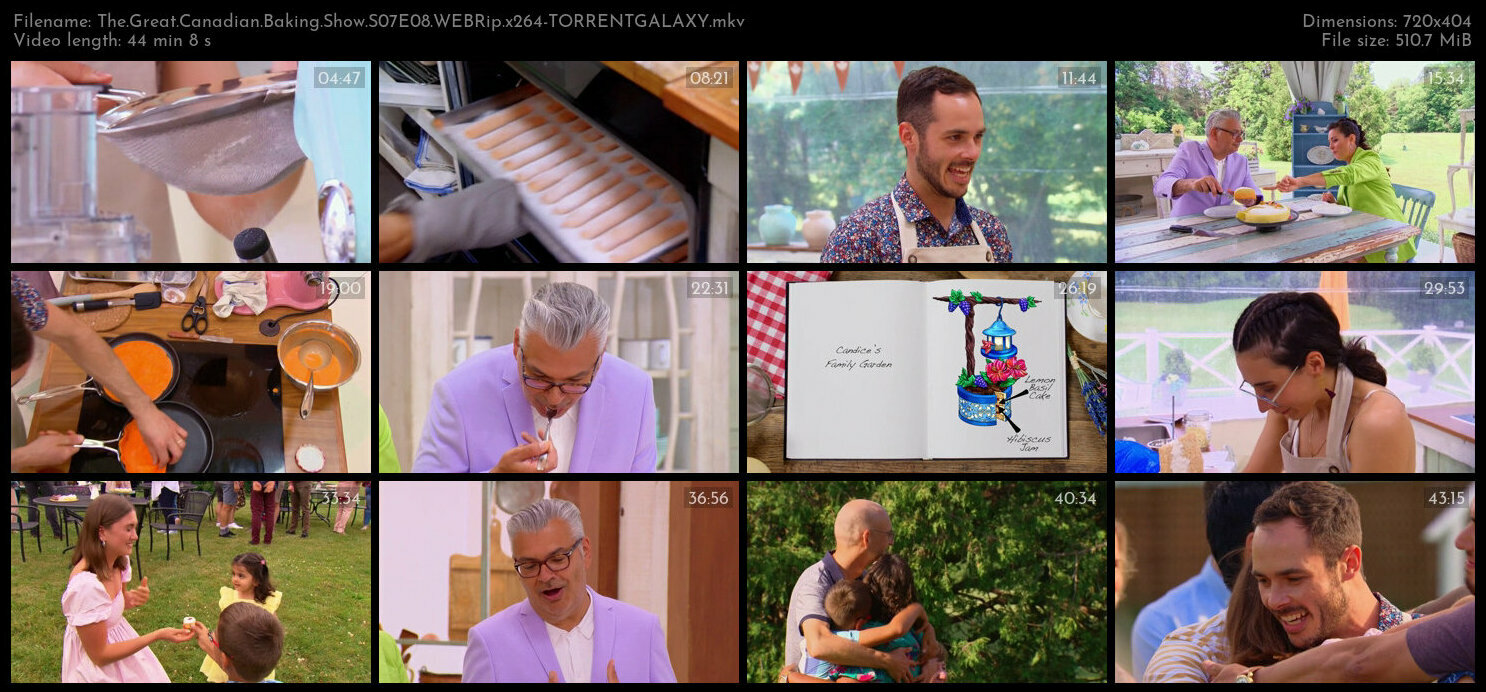 The Great Canadian Baking Show S07E08 WEBRip x264 TORRENTGALAXY