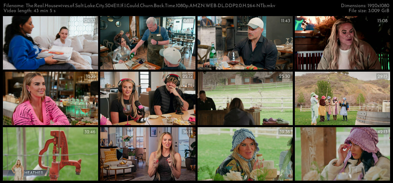 The Real Housewives of Salt Lake City S04E11 If I Could Churn Back Time 1080p AMZN WEB DL DDP2 0 H 2