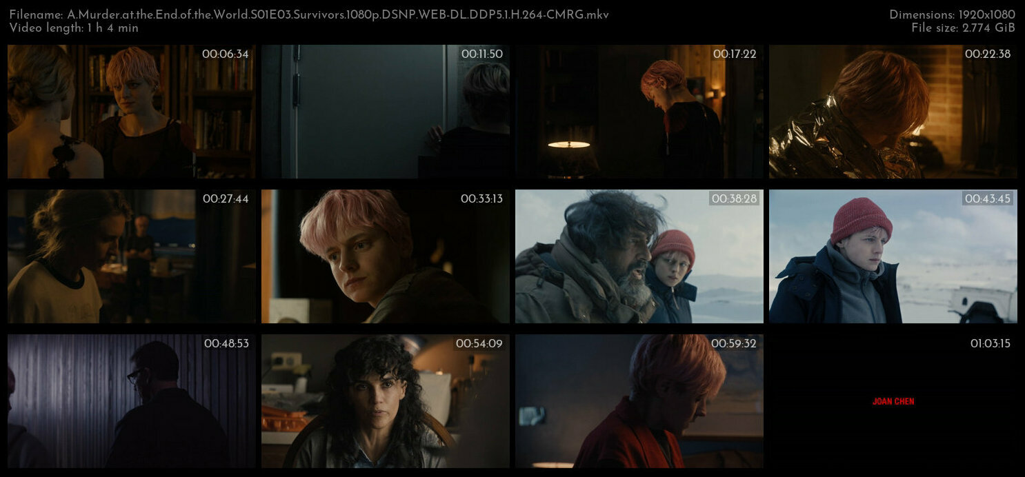 A Murder at the End of the World S01E03 Survivors 1080p DSNP WEB DL DDP5 1 H 264 CMRG TGx