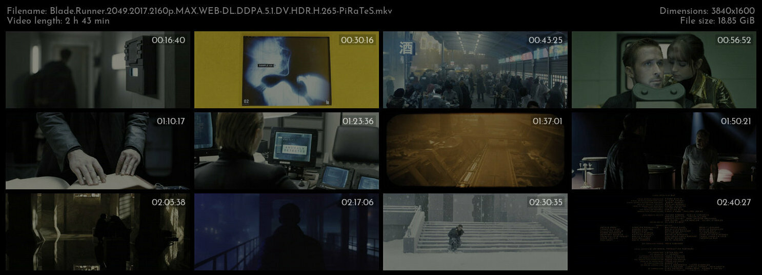 Blade Runner 2049 2017 2160p MAX WEB DL DDPA 5 1 DV HDR H 265 PiRaTeS TGx