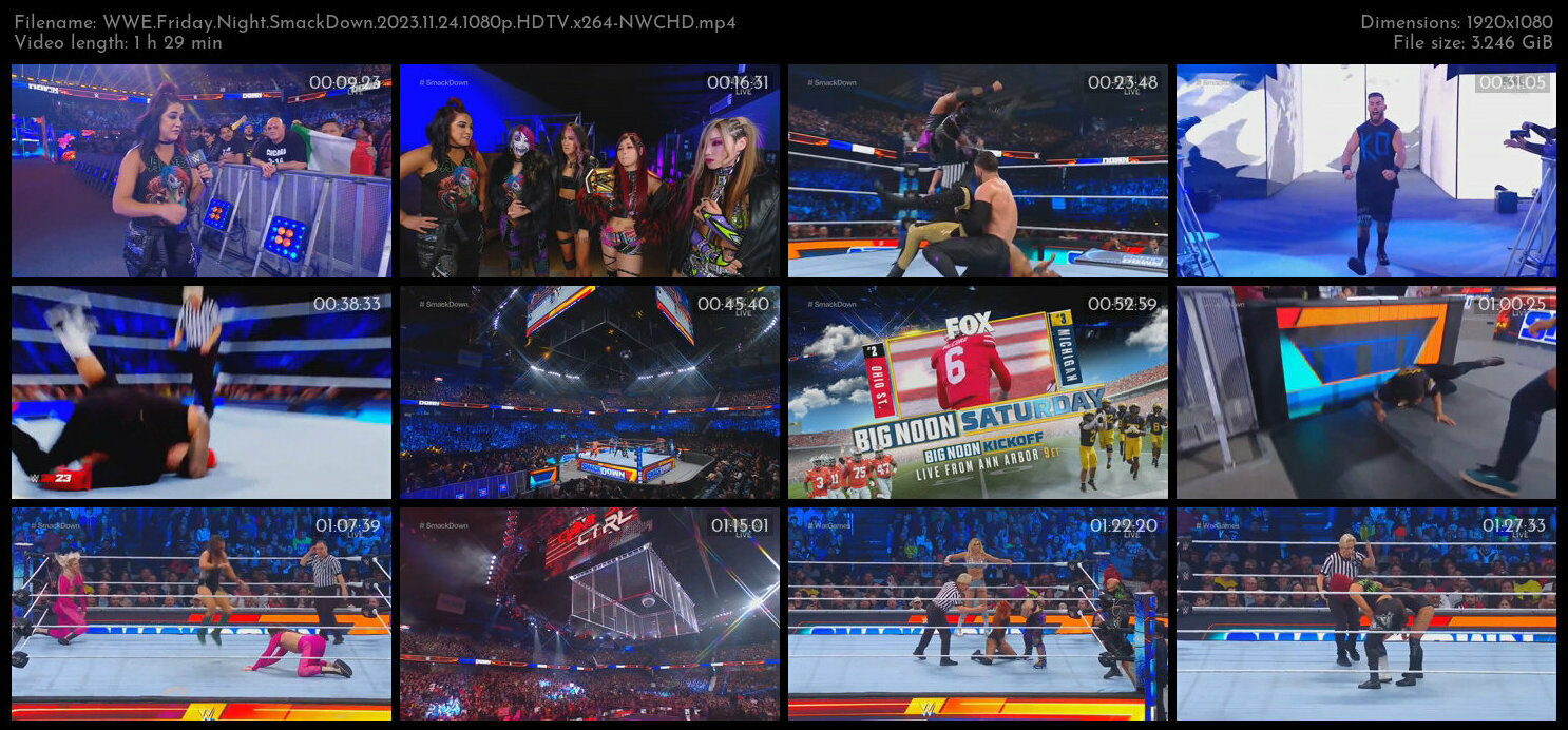 WWE Friday Night SmackDown 2023 11 24 1080p HDTV x264 NWCHD TGx