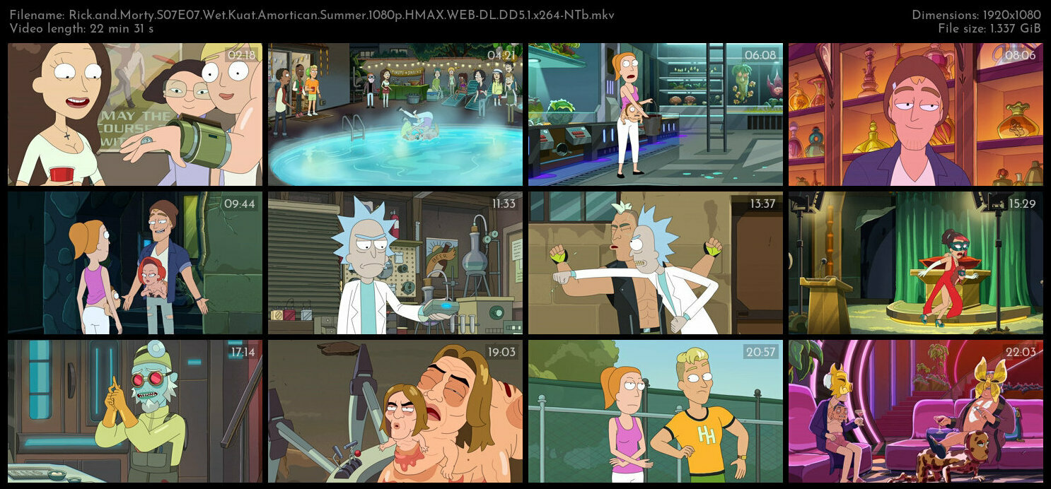Rick and Morty S07E07 Wet Kuat Amortican Summer 1080p HMAX WEB DL DD5 1 x264 NTb TGx