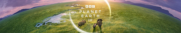 Planet Earth III S01E05 Forests 1080p WEBRip x264 CBFM TGx