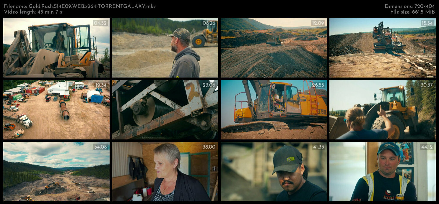 Gold Rush S14E09 WEB x264 TORRENTGALAXY