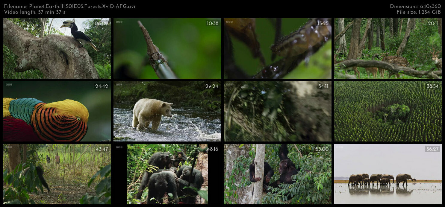Planet Earth III S01E05 Forests XviD AFG TGx