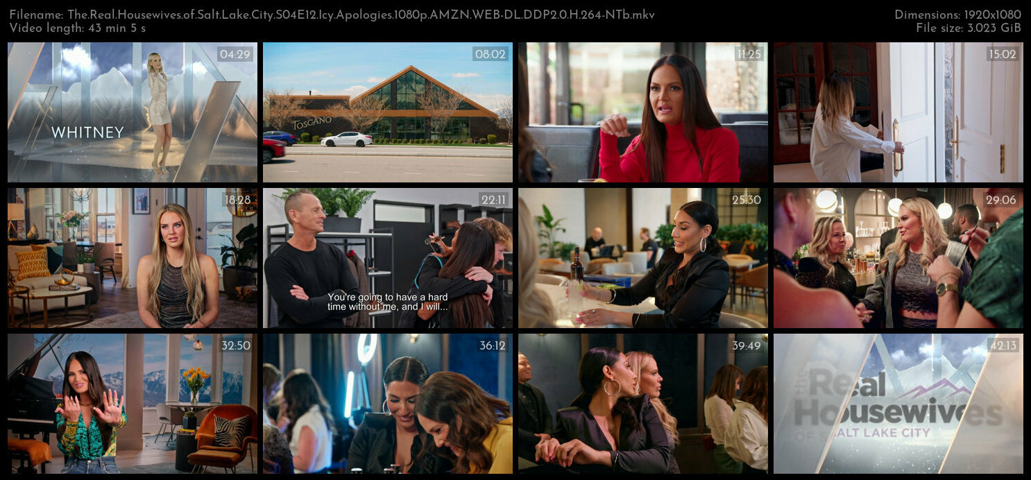 The Real Housewives of Salt Lake City S04E12 Icy Apologies 1080p AMZN WEB DL DDP2 0 H 264 NTb TGx