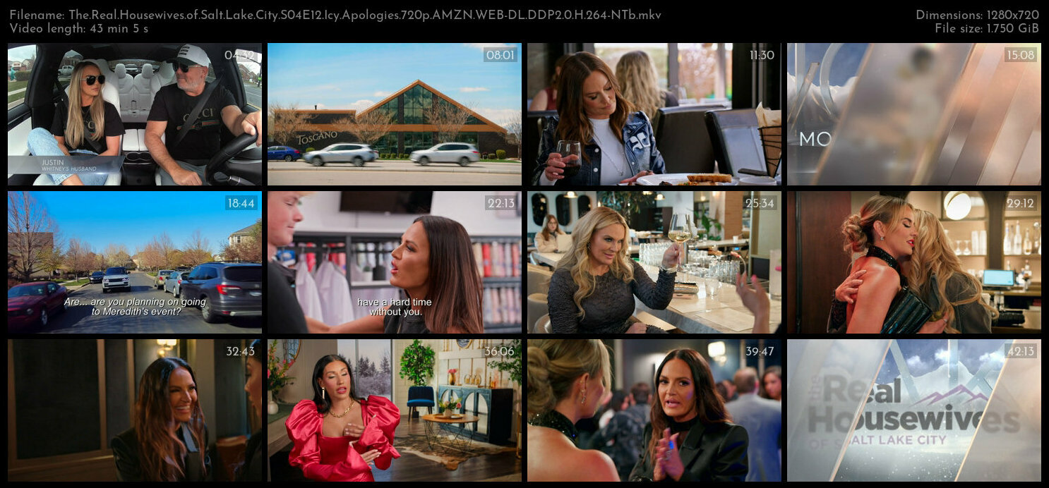 The Real Housewives of Salt Lake City S04E12 Icy Apologies 720p AMZN WEB DL DDP2 0 H 264 NTb TGx
