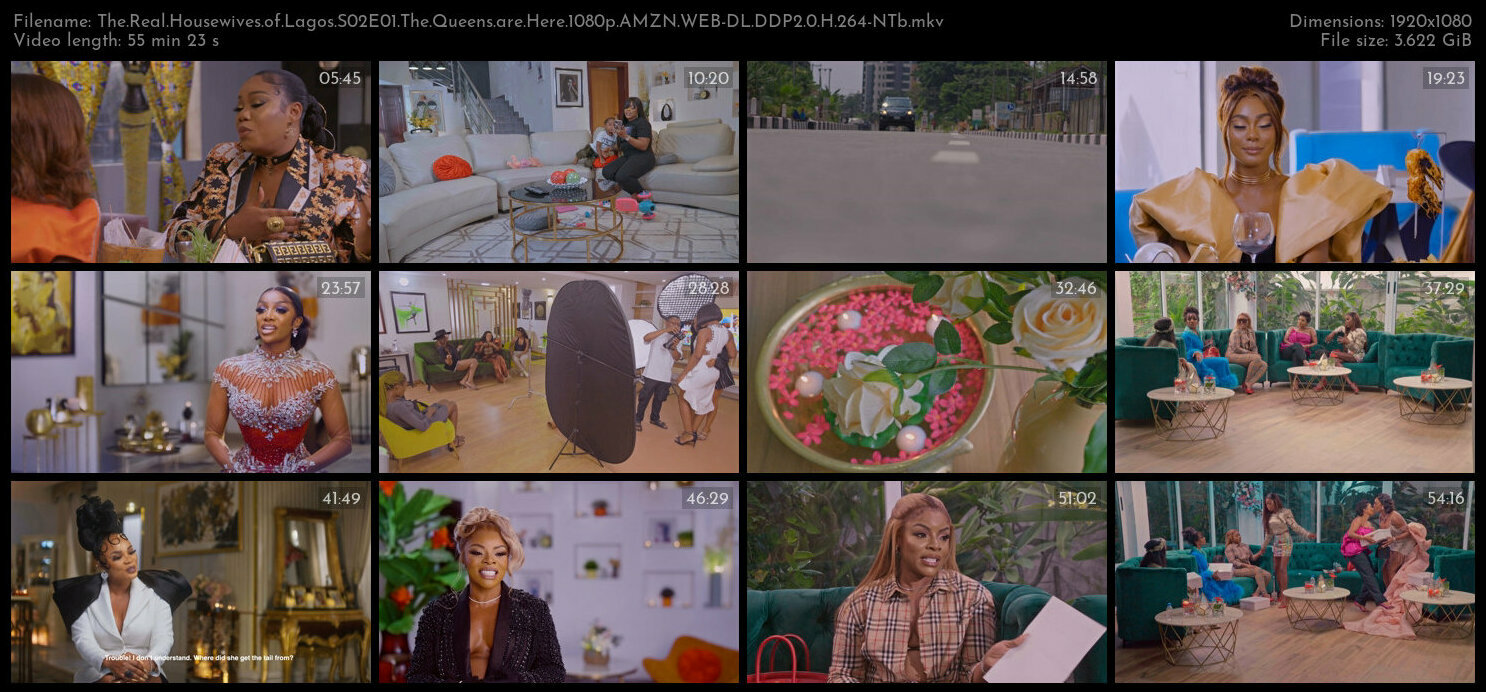 The Real Housewives of Lagos S02E01 The Queens are Here 1080p AMZN WEB DL DDP2 0 H 264 NTb TGx