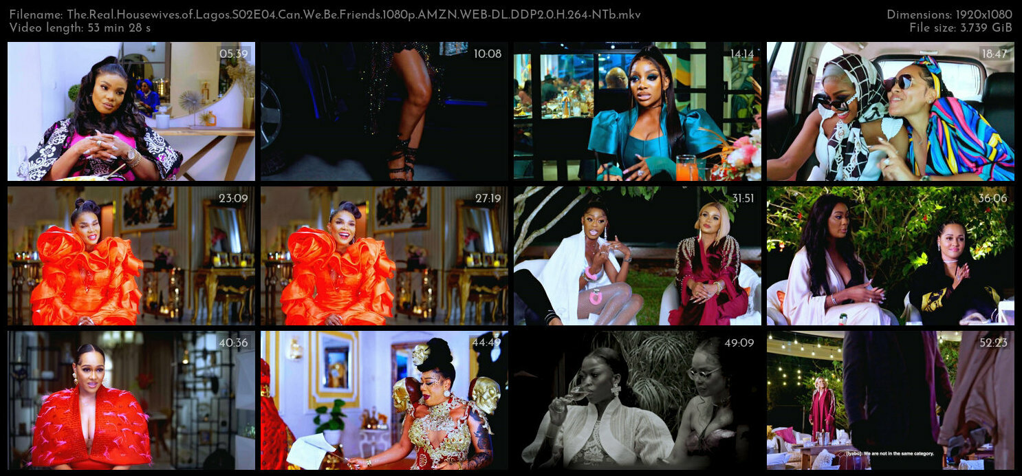 The Real Housewives of Lagos S02E04 Can We Be Friends 1080p AMZN WEB DL DDP2 0 H 264 NTb TGx