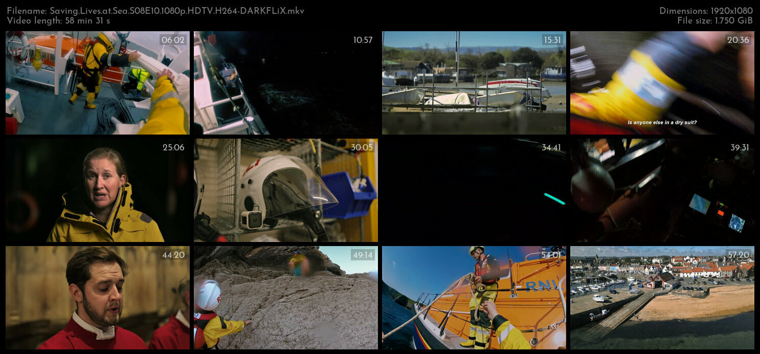 Saving Lives at Sea S08E10 1080p HDTV H264 DARKFLiX TGx