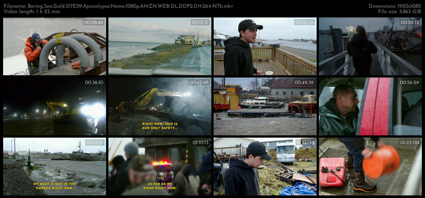 Bering Sea Gold S17E09 Apocalypse Nome 1080p AMZN WEB DL DDP2 0 H 264 NTb TGx