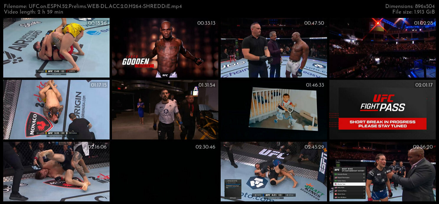 UFC on ESPN 52 Prelims WEB DL ACC 2 0 H264 SHREDDiE TGx