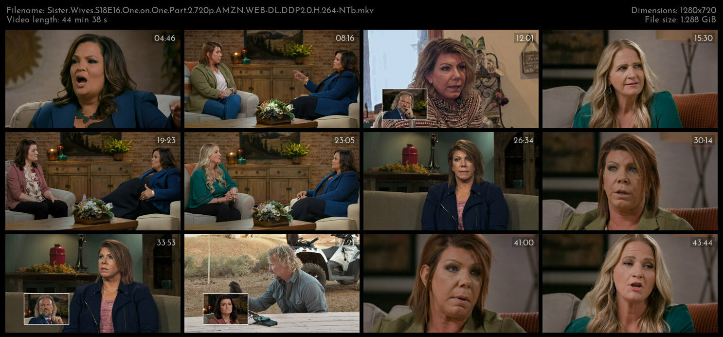 Sister Wives S18E16 One on One Part 2 720p AMZN WEB DL DDP2 0 H 264 NTb TGx