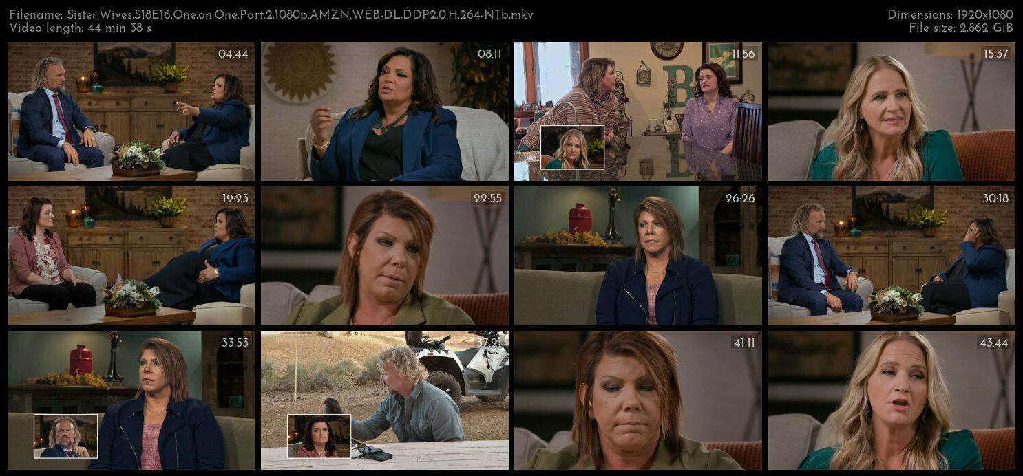 Sister Wives S18E16 One on One Part 2 1080p AMZN WEB DL DDP2 0 H 264 NTb TGx