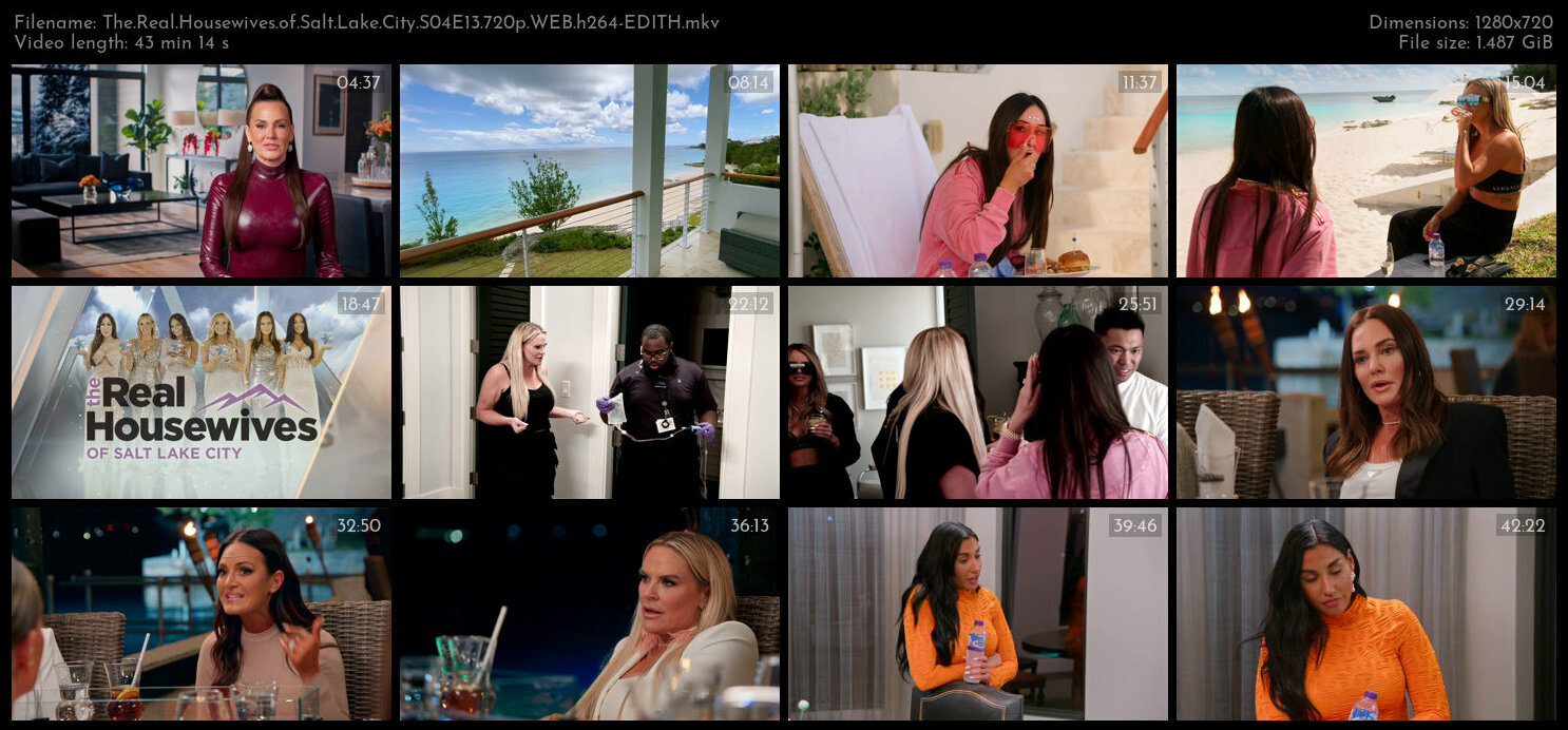 The Real Housewives of Salt Lake City S04E13 720p WEB h264 EDITH TGx