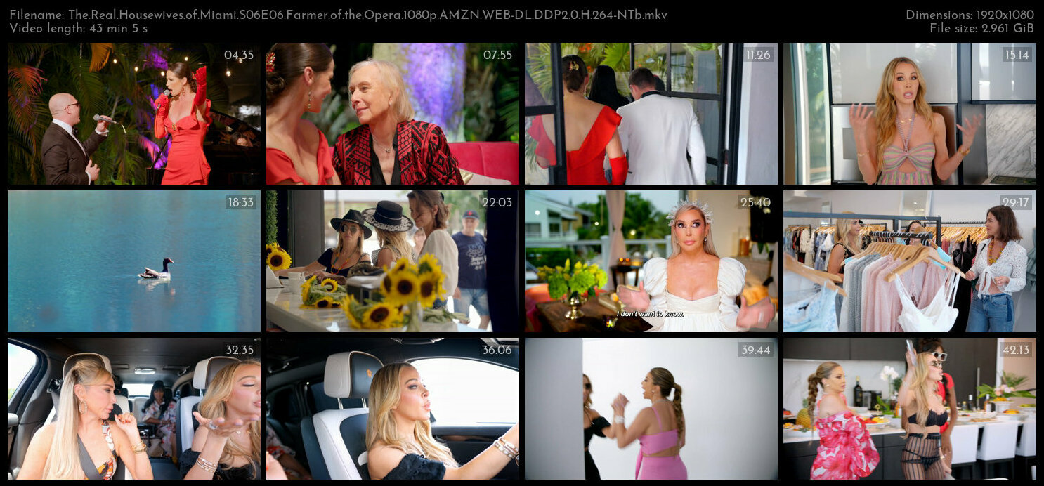 The Real Housewives of Miami S06E06 Farmer of the Opera 1080p AMZN WEB DL DDP2 0 H 264 NTb TGx