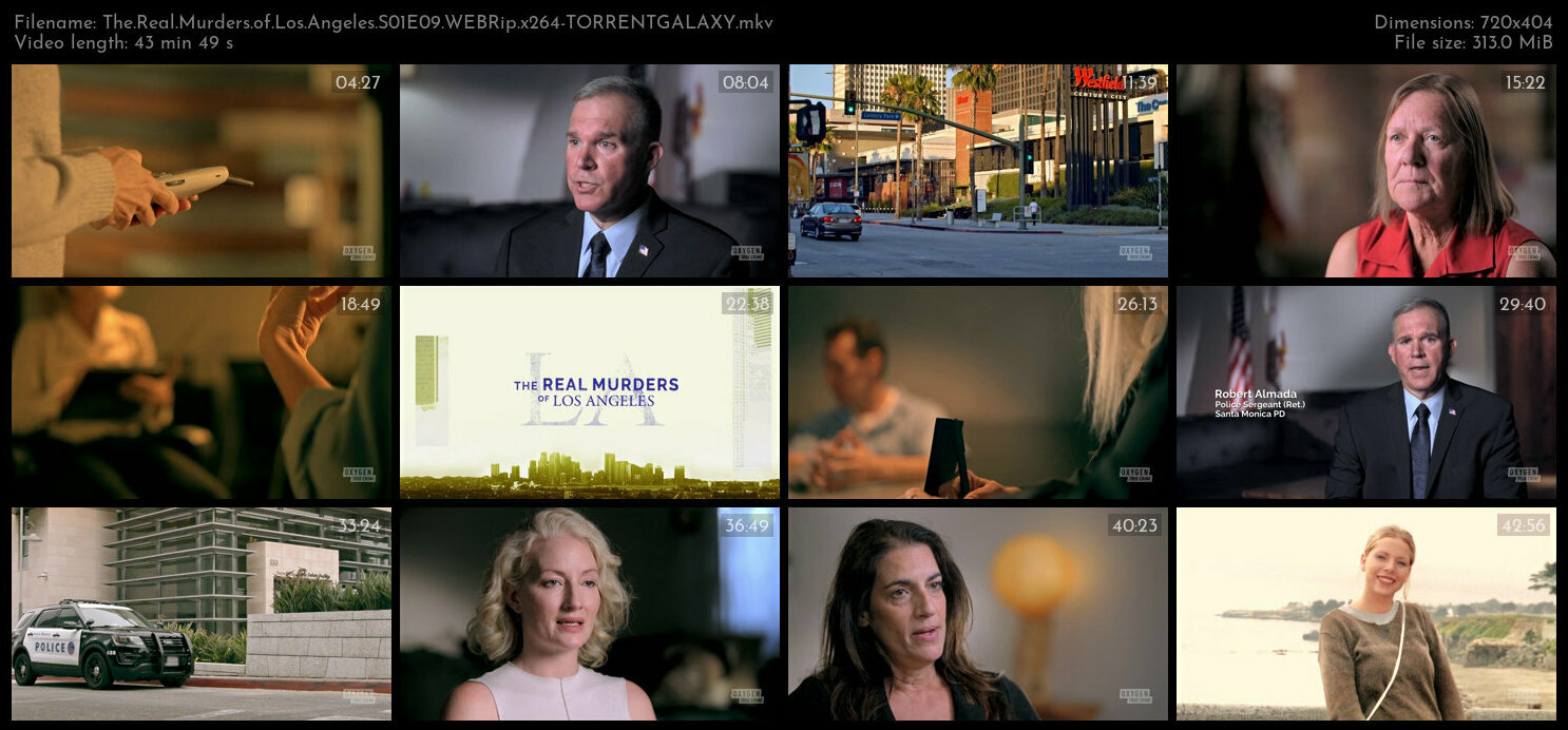 The Real Murders of Los Angeles S01E09 WEBRip x264 TORRENTGALAXY