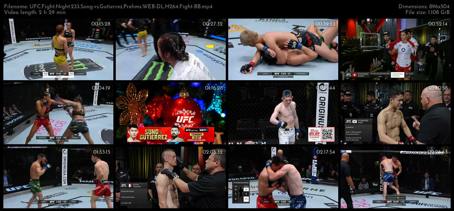 UFC Fight Night 233 Song vs Gutierrez Prelims WEB DL H264 Fight BB