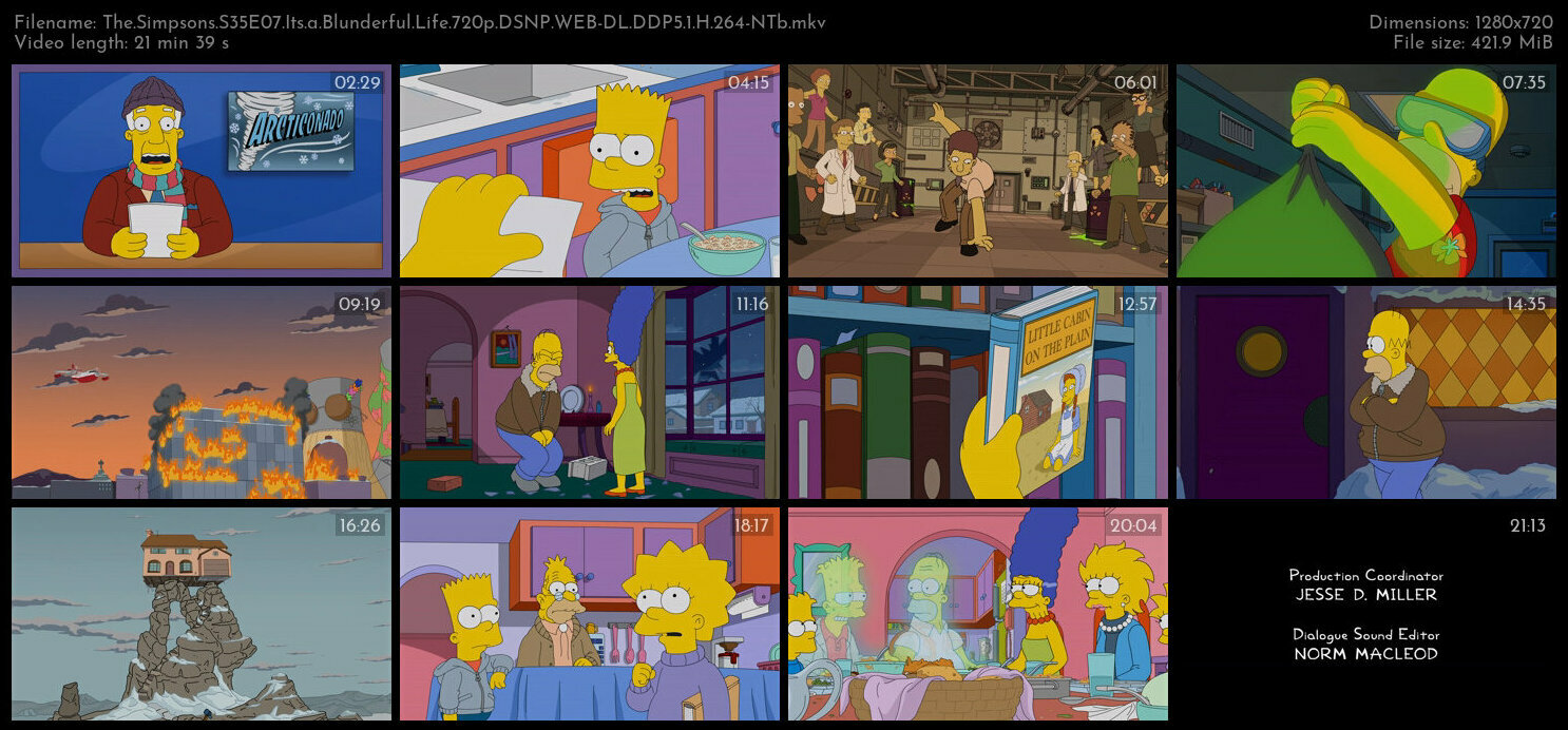 The Simpsons S35E07 Its a Blunderful Life 720p DSNP WEB DL DDP5 1 H 264 NTb TGx