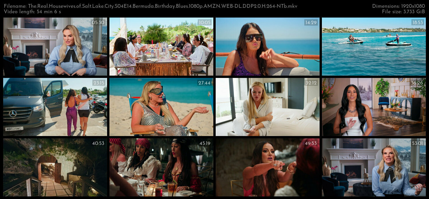 The Real Housewives of Salt Lake City S04E14 Bermuda Birthday Blues 1080p AMZN WEB DL DDP2 0 H 264 N