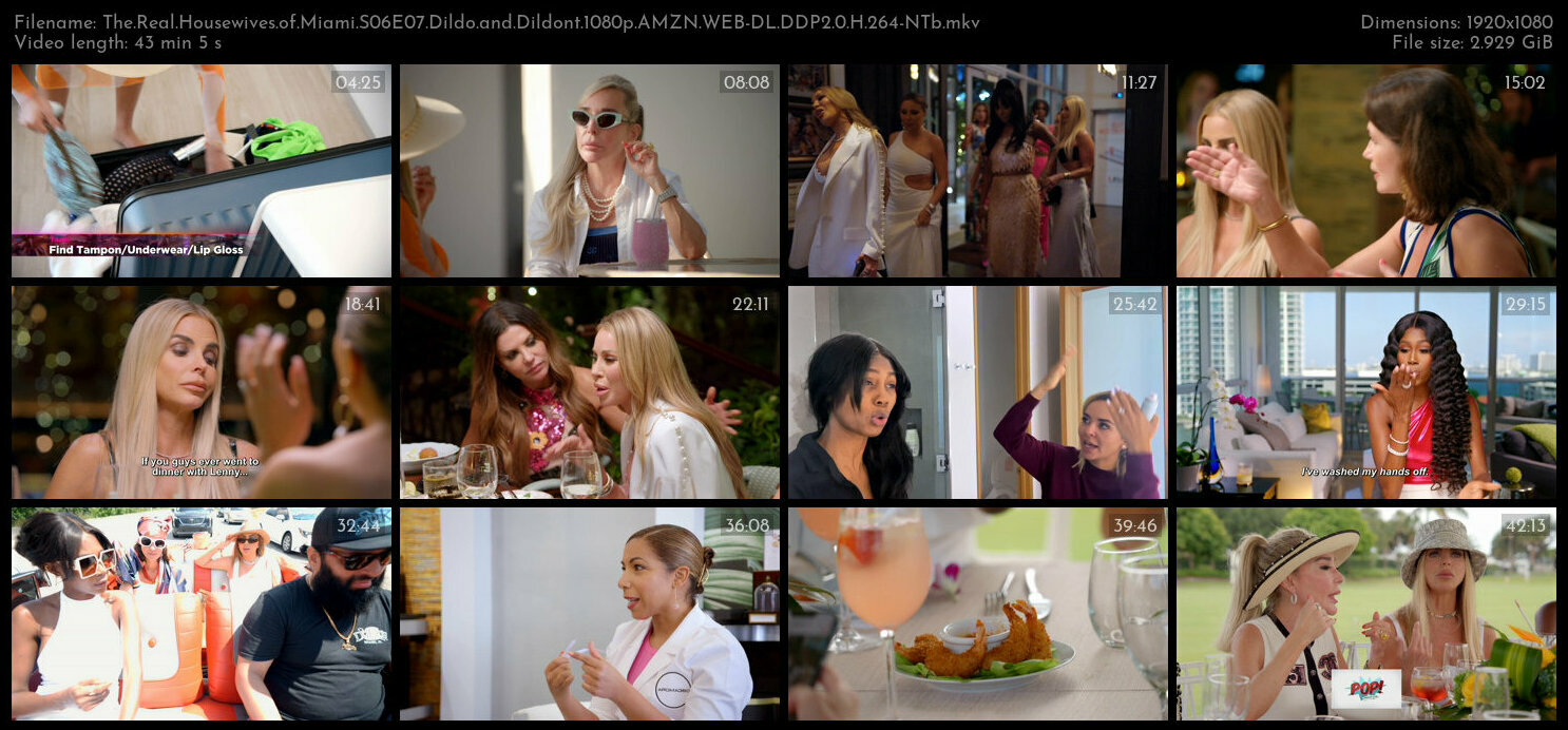 The Real Housewives of Miami S06E07 Dildo and Dildont 1080p AMZN WEB DL DDP2 0 H 264 NTb TGx