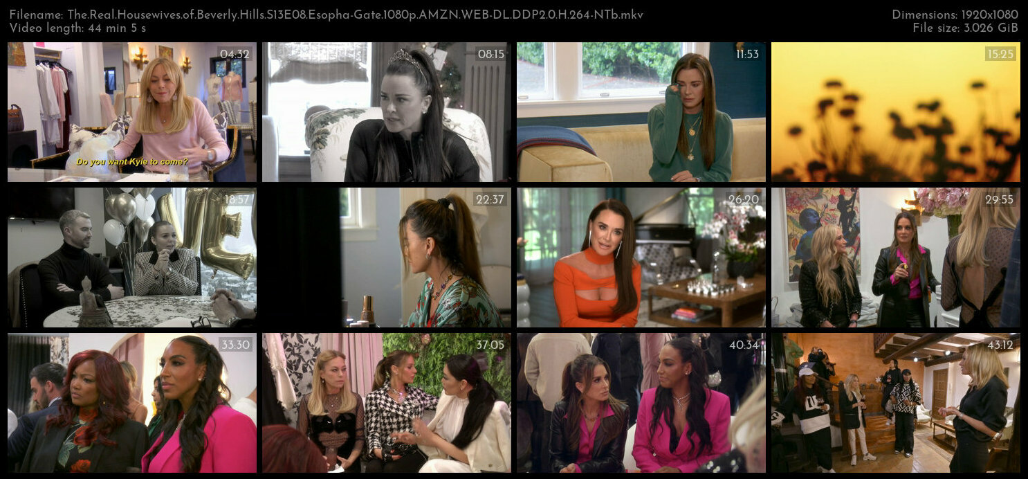 The Real Housewives of Beverly Hills S13E08 Esopha Gate 1080p AMZN WEB DL DDP2 0 H 264 NTb TGx