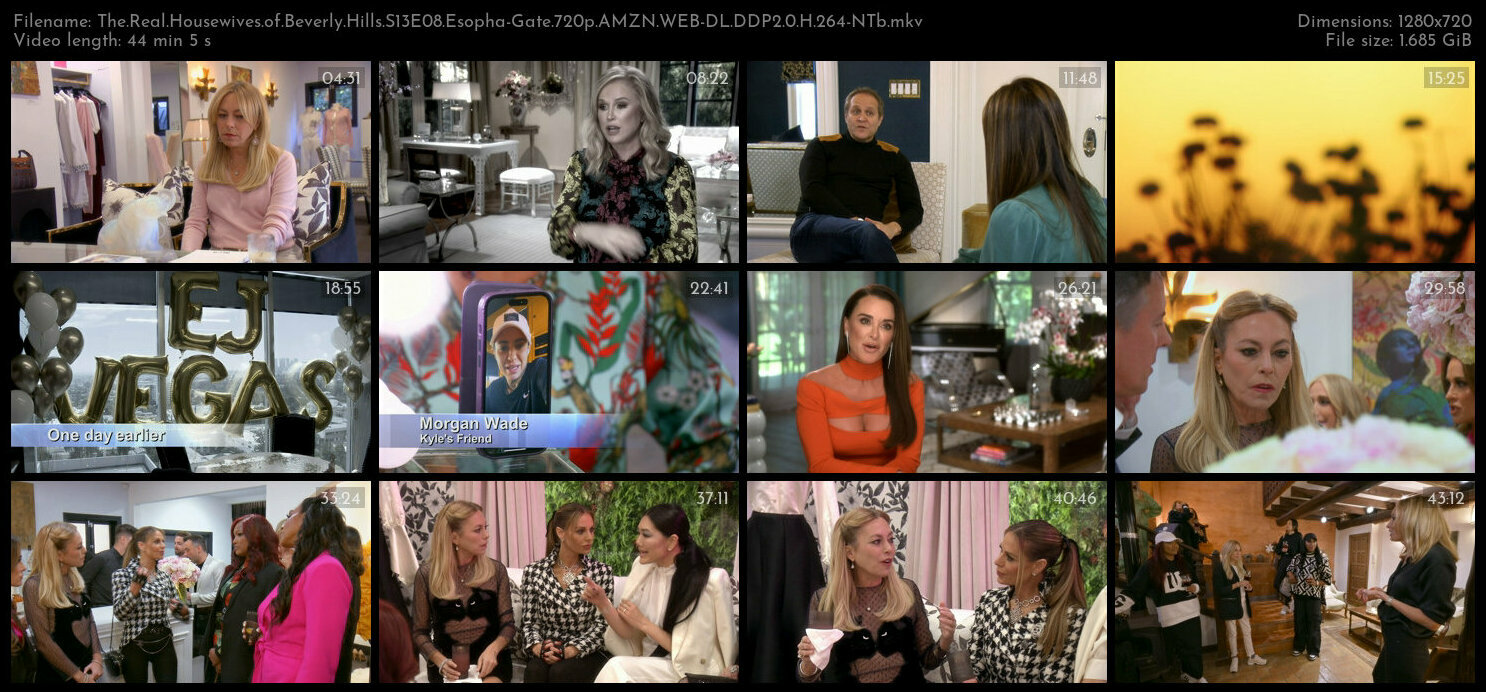 The Real Housewives of Beverly Hills S13E08 Esopha Gate 720p AMZN WEB DL DDP2 0 H 264 NTb TGx