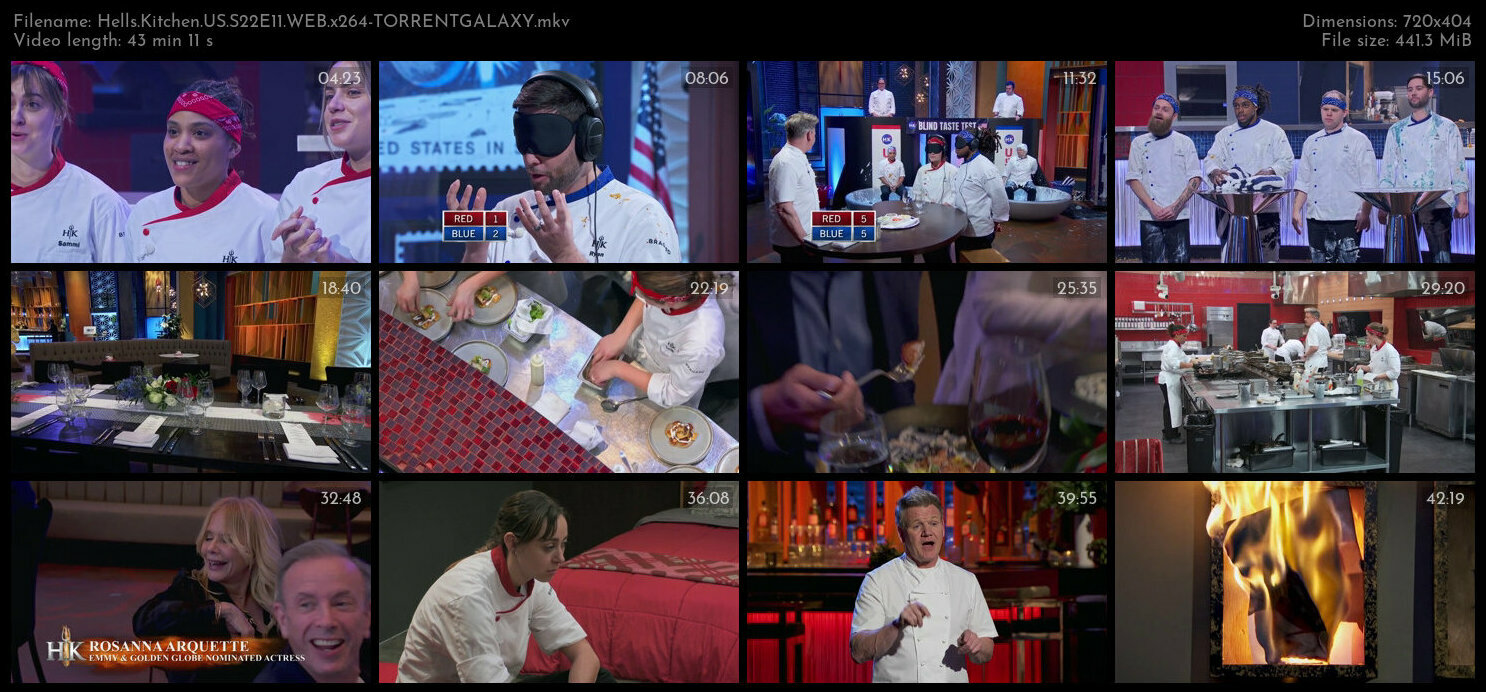 Hells Kitchen US S22E11 WEB x264 TORRENTGALAXY