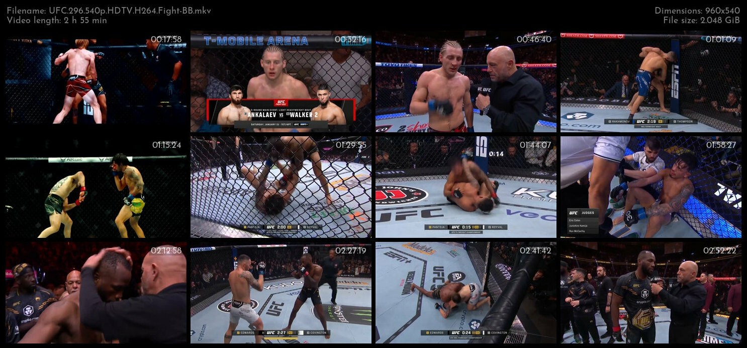 UFC 296 540p HDTV H264 Fight BB